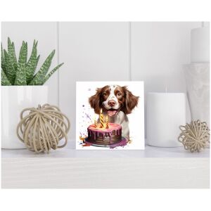 Tegel 15x15 cm Bretonse Spaniël