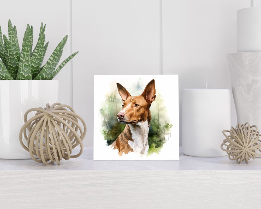 Tegel 15X15 Cm Met Podenco Ibicenco Cadeau Decoratie | Tegeltjes Met Tekst | Tegeltjes Met Spreuken | Collega | Oma | Opa | Pensioen | Mama | Papa | Vriend Tegel 15x15 cm Podenco Ibicenco