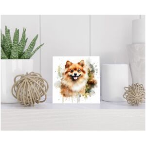 Tegel 15x15 cm Pomeranian