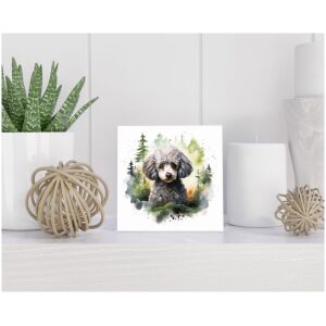 Tegel 15x15 cm Dwergpoedel