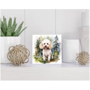 Tegel 15x15 cm Dwergpoedel