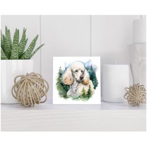 Tegel 15x15 cm Grote Poedel