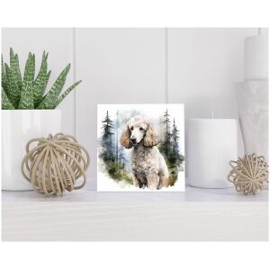 Tegel 15x15 cm Grote Poedel