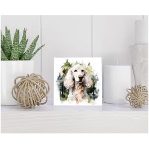 Tegel 15x15 cm Grote Poedel