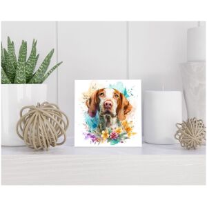 Tegel 15x15 cm Bracco Italiano