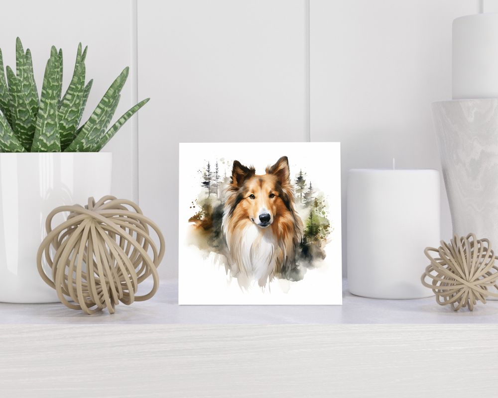 Tegel 15x15 cm Langharige Collie