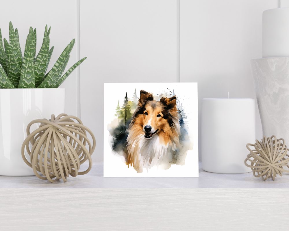 Tegel 15x15 cm Langharige Collie