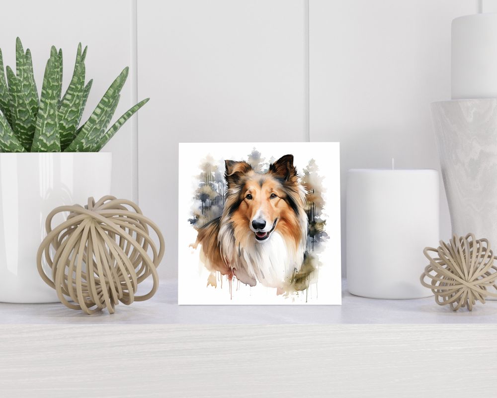 Tegel 15x15 cm Langharige Collie