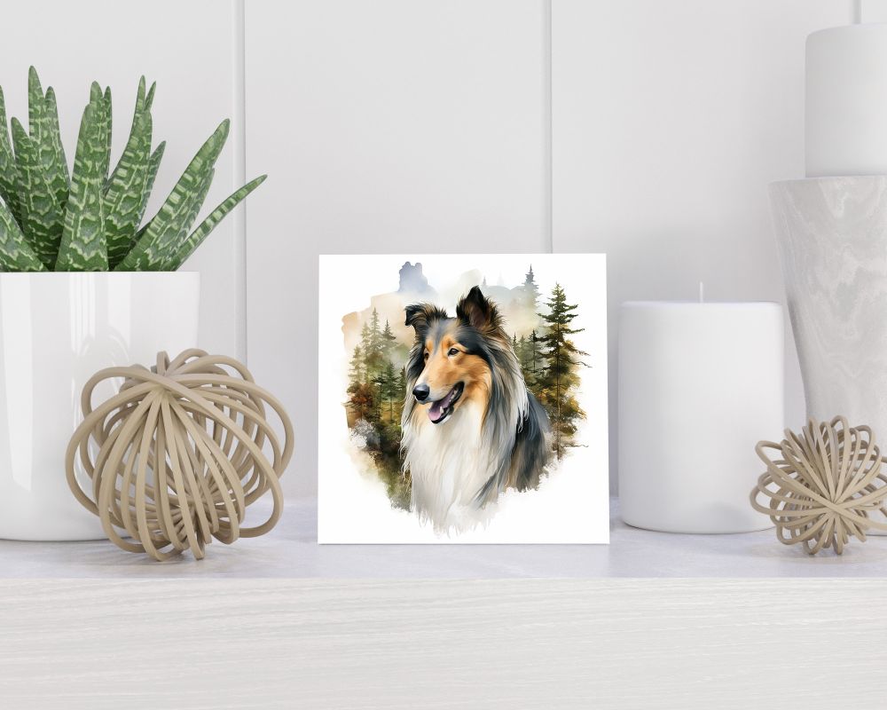Tegel 15x15 cm Langharige Collie