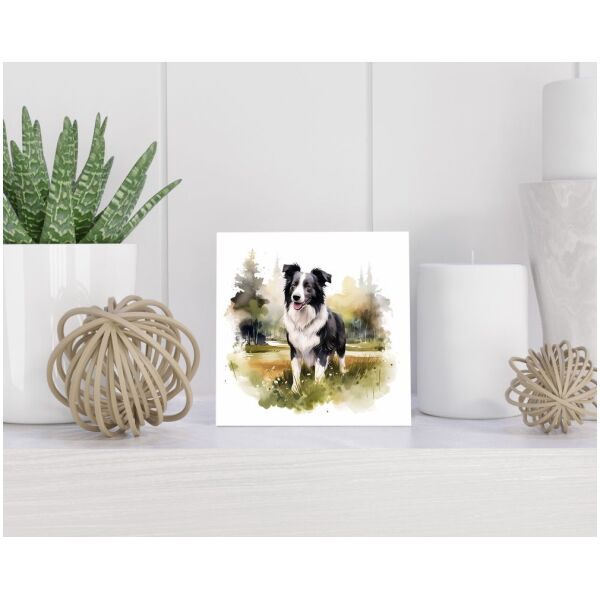 Tegel 15x15 cm Border Collie