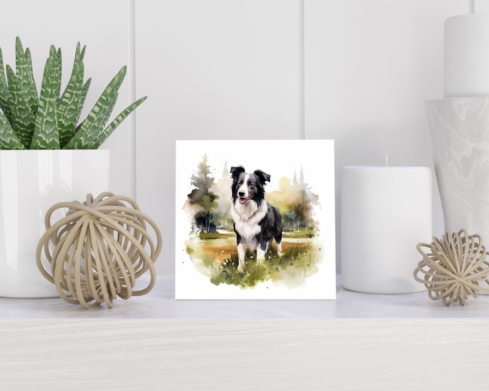 Tegel 15x15 cm Border Collie