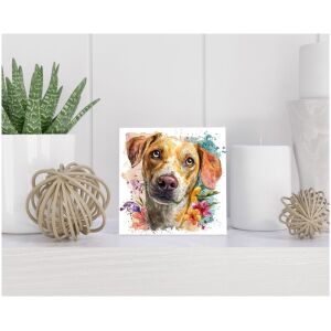 Tegel 15x15 cm Podenco Canario