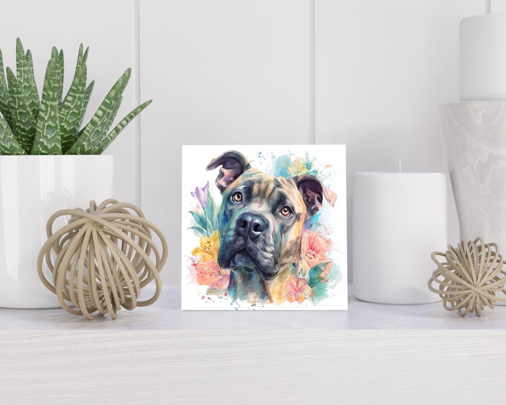 Tegel 15x15 cm Cane Corso