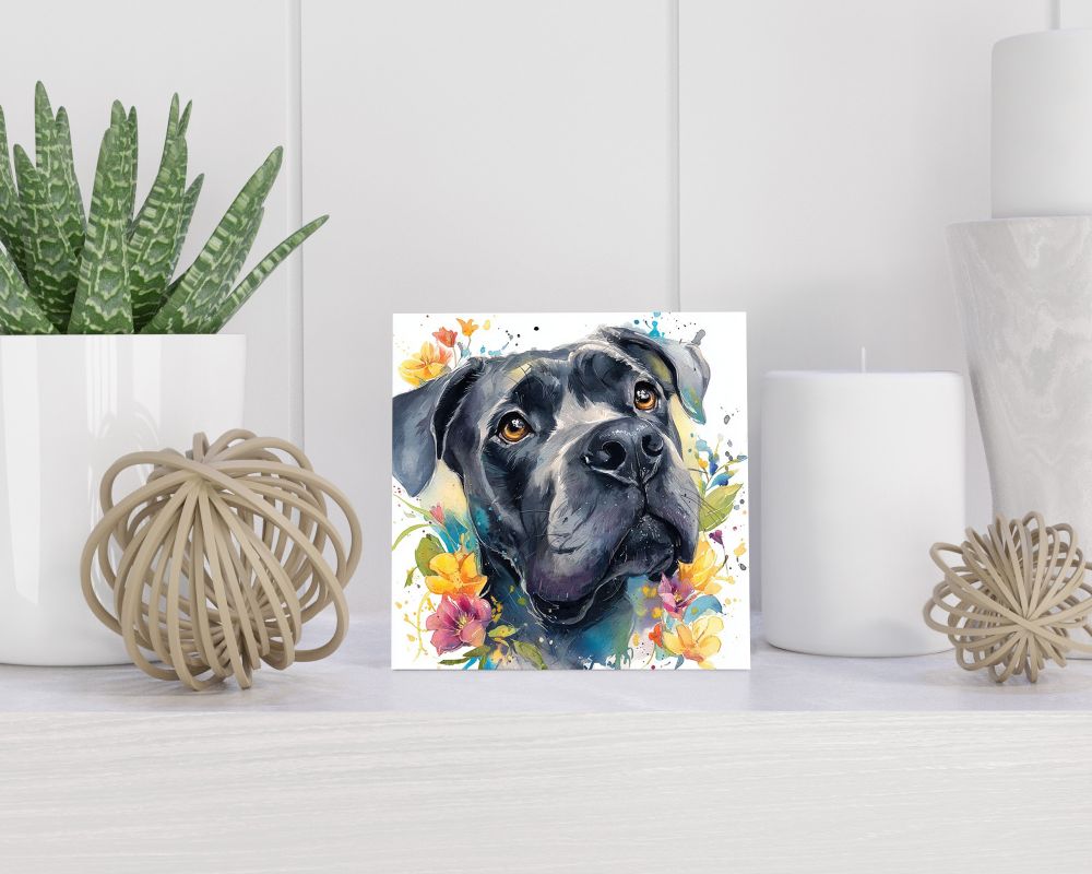 Tegel 15x15 cm Cane Corso