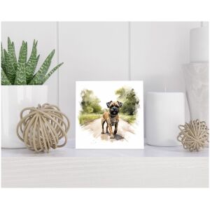 Tegel 15x15 cm Barzoi