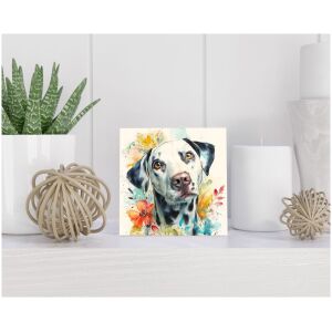 Tegel 15x15 cm Dalmatiër