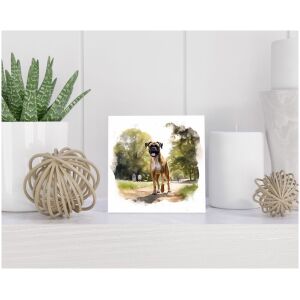 Tegel 15x15 cm Boxer