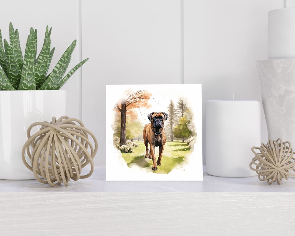 Tegel 15x15 cm Boxer
