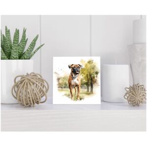 Tegel 15x15 cm Boxer