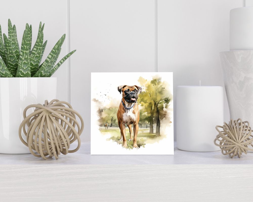 Tegel 15x15 cm Boxer