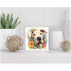 Tegel 15x15 cm Dogo Argentino