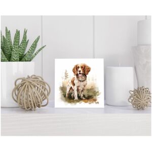 Tegel 15x15 cm Bretonse Spaniël