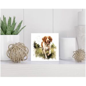 Tegel 15x15 cm Brigadier