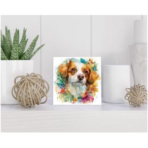 Tegel 15x15 cm Kooikerhondje