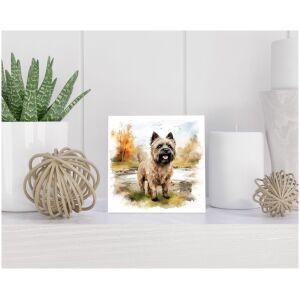 Tegel 15x15 cm Caissière