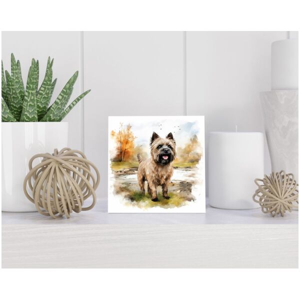 Tegel 15x15 cm Caissière