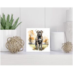 Tegel 15x15 cm Cane Corso