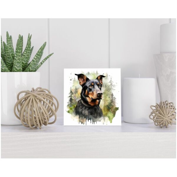 Tegel 15x15 cm Beauceron
