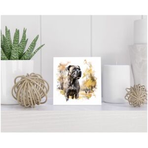 Tegel 15x15 cm Cane Corso