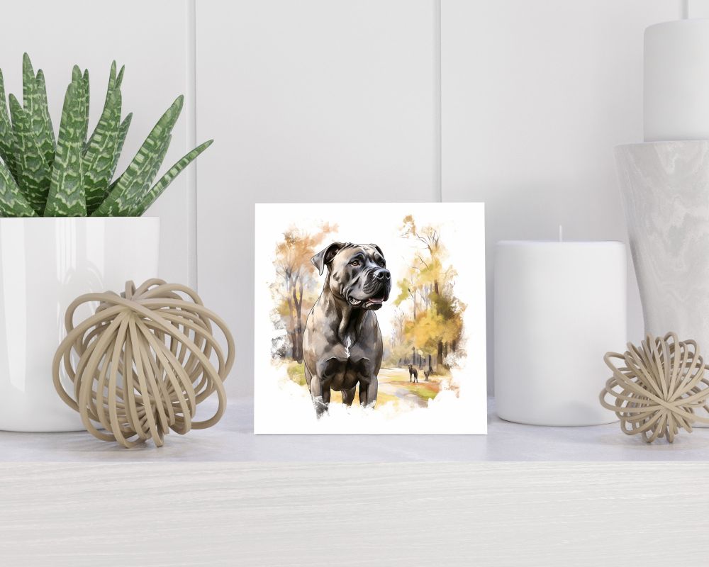 Tegel 15x15 cm Cane Corso