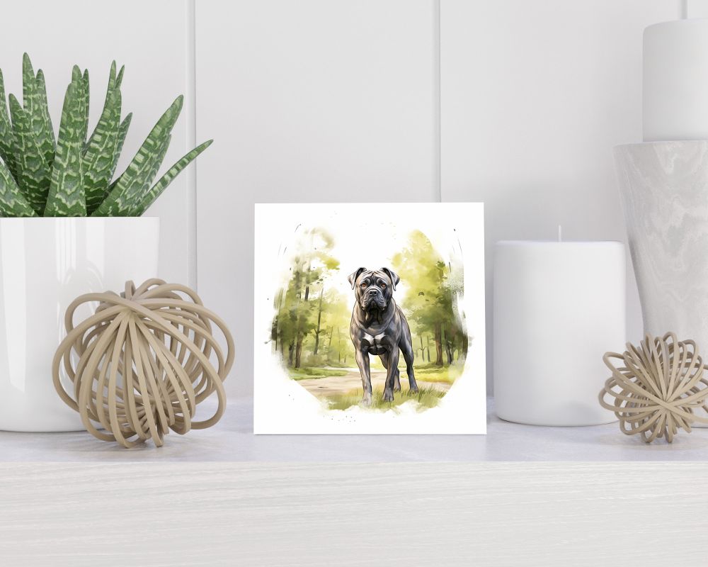 Tegel 15x15 cm Cane Corso