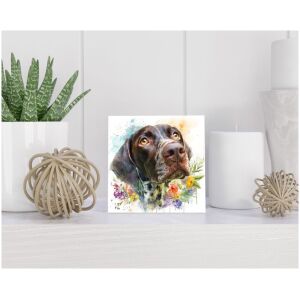 Tegel 15x15 cm Duitse Staande Korthaar