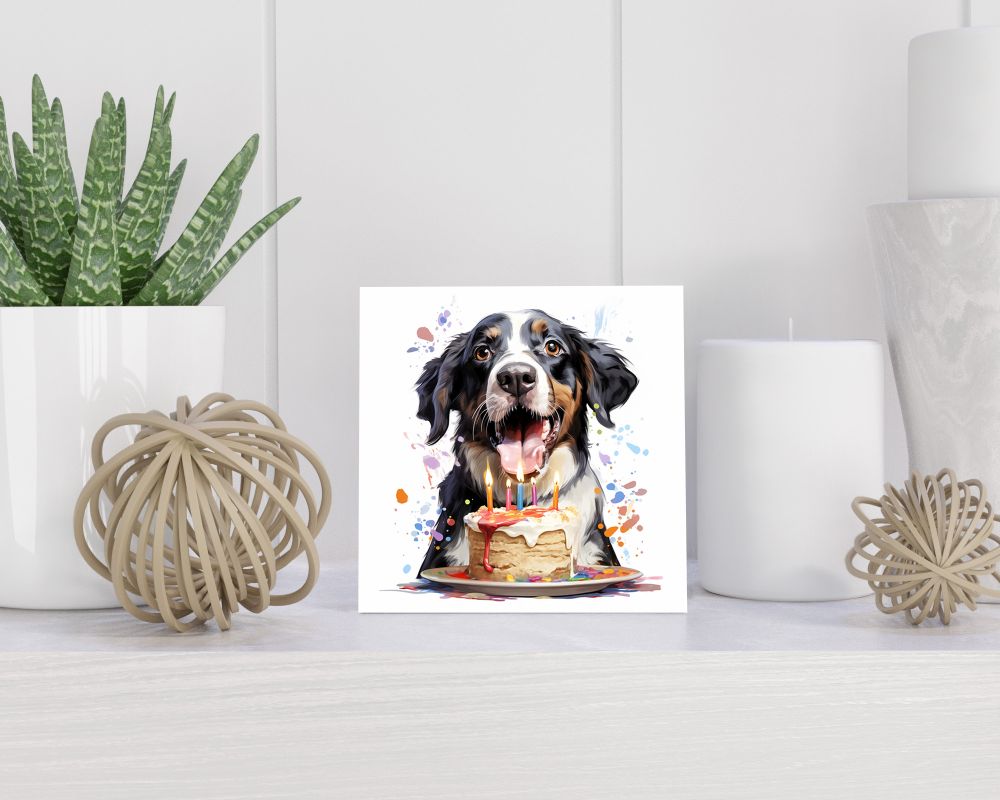 Tegel 15x15 cm Grote Zwitserse Sennenhond