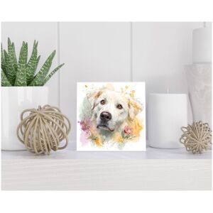 Tegel 15x15 cm Pyreneese Berghond