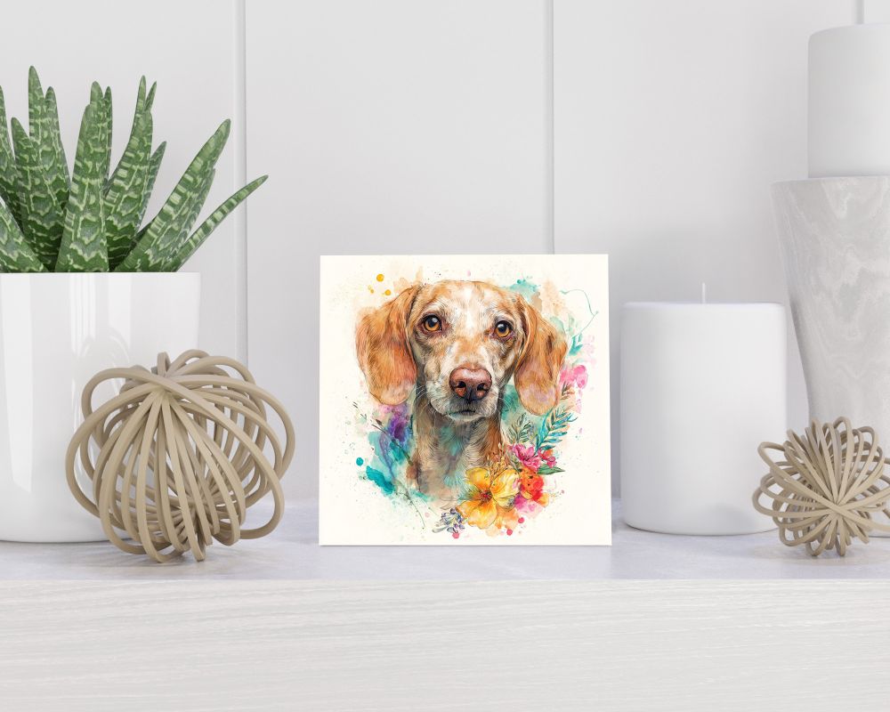 Tegel 15X15 Cm Met Gymleraar Cadeau Decoratie | Tegeltjes Met Tekst | Tegeltjes Met Spreuken | Collega | Oma | Opa | Pensioen | Mama | Papa | Vriend Tegel 15x15 cm Gymleraar