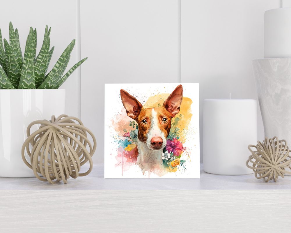 Tegel 15X15 Cm Met Podenco Ibicenco Cadeau Decoratie | Tegeltjes Met Tekst | Tegeltjes Met Spreuken | Collega | Oma | Opa | Pensioen | Mama | Papa | Vriend Tegel 15x15 cm Podenco Ibicenco