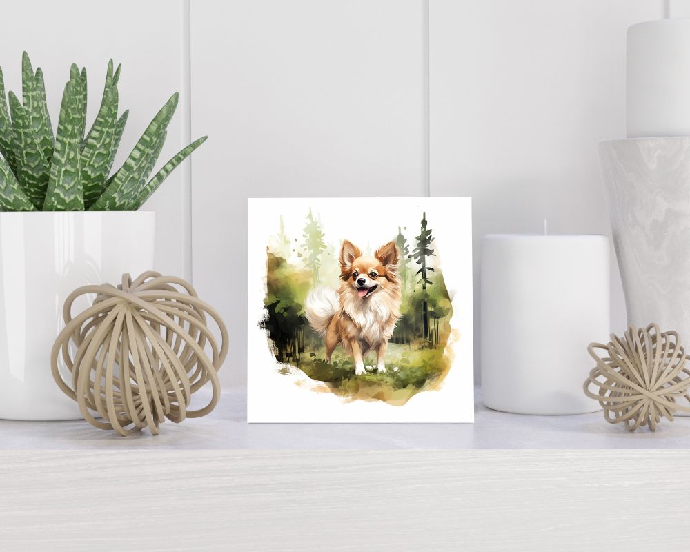 Tegel 15x15 cm Chihuahua Kortharig
