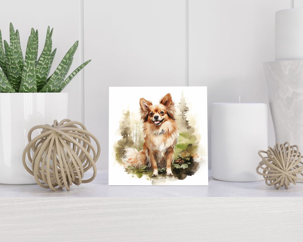 Tegel 15x15 cm Chihuahua Kortharig