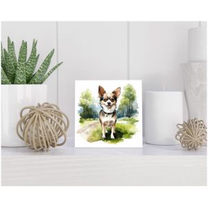 Tegel 15x15 cm Chihuahua Kortharig