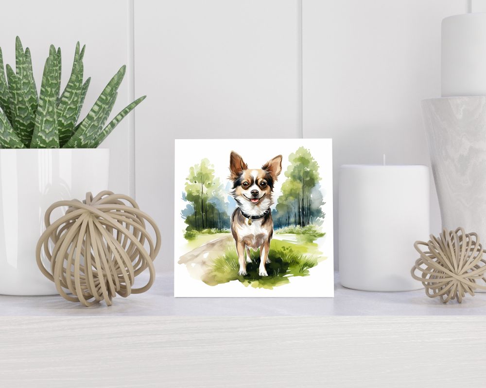 Tegel 15x15 cm Chihuahua Kortharig