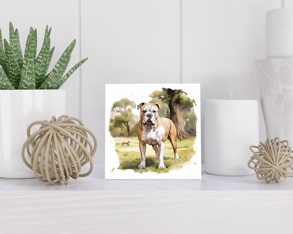 Tegel 15x15 cm Amerikaanse Bulldog