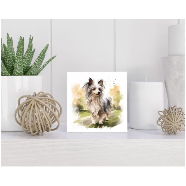 Tegel 15x15 cm Chirurg