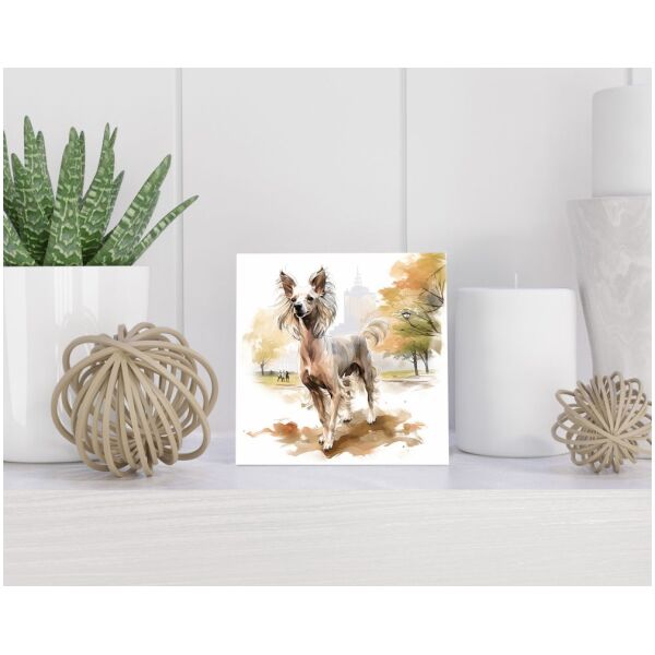 Tegel 15x15 cm Chiropodist