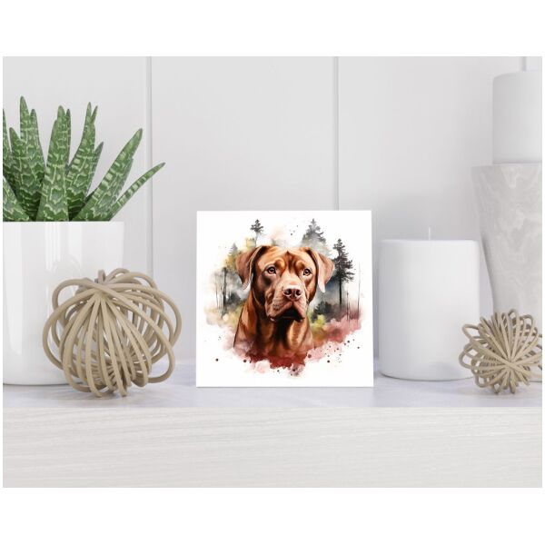 Tegel 15x15 cm Border Collie