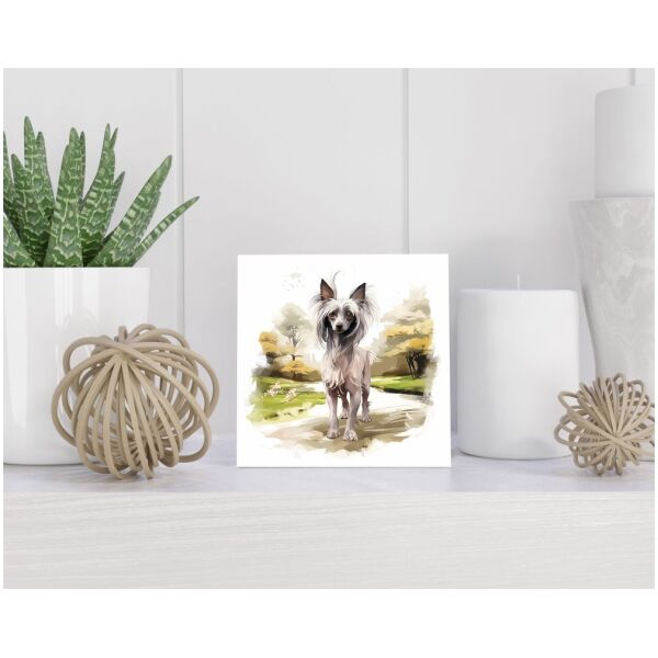 Tegel 15x15 cm Chirurgijn