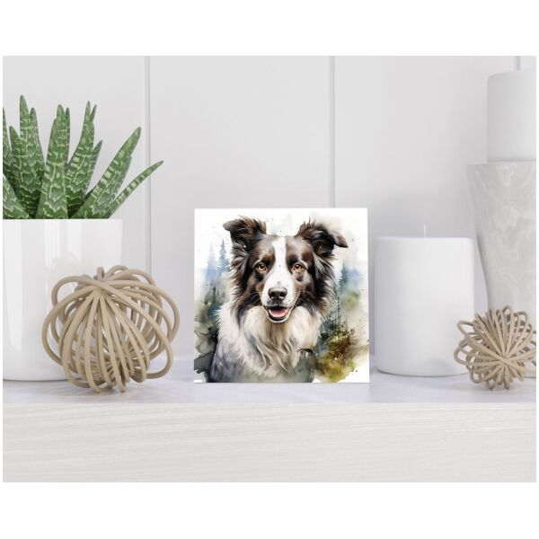 Tegel 15x15 cm Border Collie
